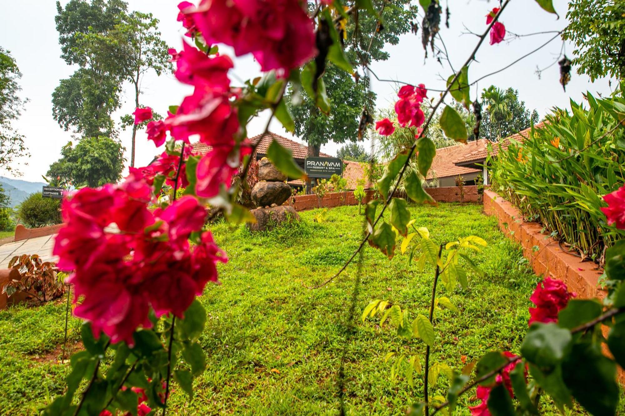 Pranavam Resort & Spa Tariyod Zewnętrze zdjęcie