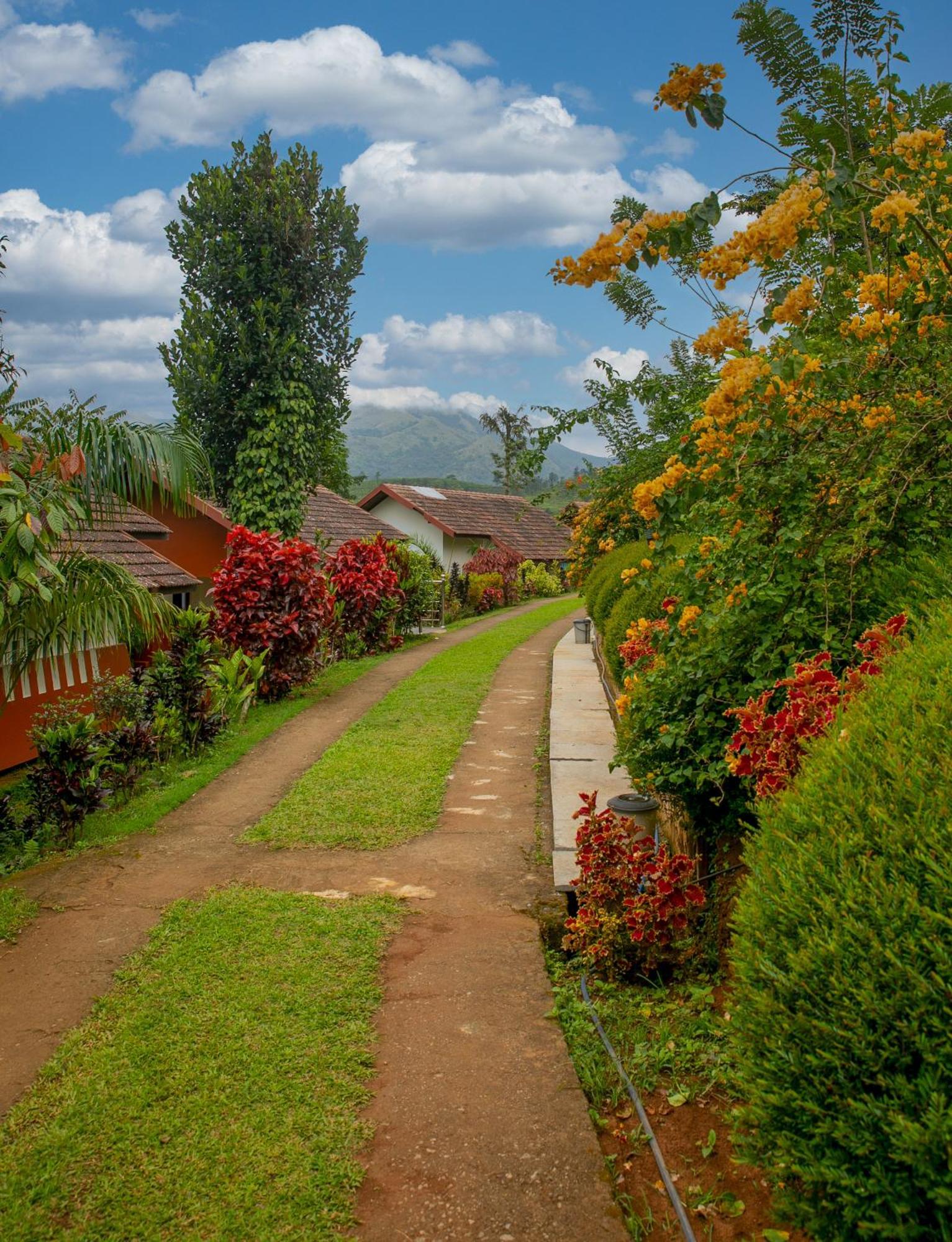Pranavam Resort & Spa Tariyod Zewnętrze zdjęcie